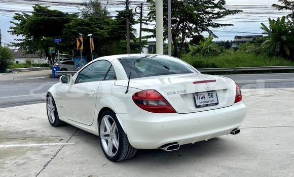 Buy Used Mercedes‒Benz SLK–Class White Car in Bangkok in Bangkok Buy Used Mercedes‒Benz SLK–Class White Car in Bangkok in Bangkok