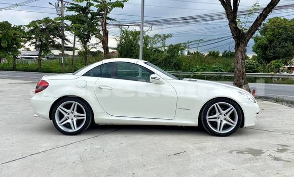 Buy Used Mercedes‒Benz SLK–Class White Car in Bangkok in Bangkok Buy Used Mercedes‒Benz SLK–Class White Car in Bangkok in Bangkok