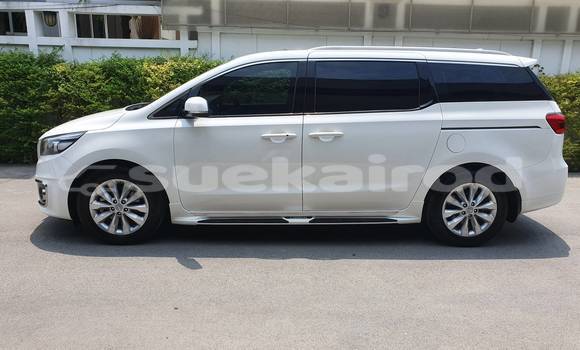 ซื้อ รถมือสอง Kia Carnival ขาว รถยนต์ ใน %{เมือง} ใน กรุงเทพมหานคร ซื้อ รถมือสอง Kia Carnival ขาว รถยนต์ ใน %{เมือง} ใน กรุงเทพมหานคร