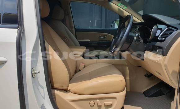 ซื้อ รถมือสอง Kia Carnival ขาว รถยนต์ ใน %{เมือง} ใน กรุงเทพมหานคร ซื้อ รถมือสอง Kia Carnival ขาว รถยนต์ ใน %{เมือง} ใน กรุงเทพมหานคร