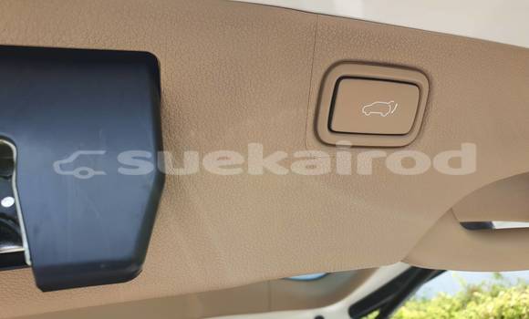 ซื้อ รถมือสอง Kia Carnival ขาว รถยนต์ ใน %{เมือง} ใน กรุงเทพมหานคร ซื้อ รถมือสอง Kia Carnival ขาว รถยนต์ ใน %{เมือง} ใน กรุงเทพมหานคร