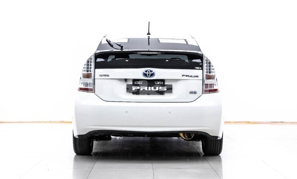 ซื้อ รถมือสอง Toyota Prius ขาว รถยนต์ ใน %{เมือง} ใน กรุงเทพมหานคร ซื้อ รถมือสอง Toyota Prius ขาว รถยนต์ ใน %{เมือง} ใน กรุงเทพมหานคร