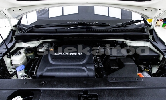 ซื้อ รถมือสอง Kia Carnival ขาว รถยนต์ ใน %{เมือง} ใน กรุงเทพมหานคร ซื้อ รถมือสอง Kia Carnival ขาว รถยนต์ ใน %{เมือง} ใน กรุงเทพมหานคร