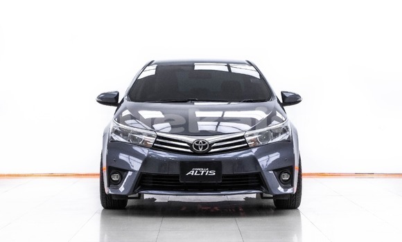 Buy Used Toyota Altis Other Car in Bangkok in Bangkok Buy Used Toyota Altis Other Car in Bangkok in Bangkok