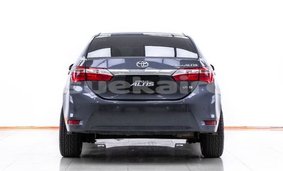 Buy Used Toyota Altis Other Car in Bangkok in Bangkok Buy Used Toyota Altis Other Car in Bangkok in Bangkok