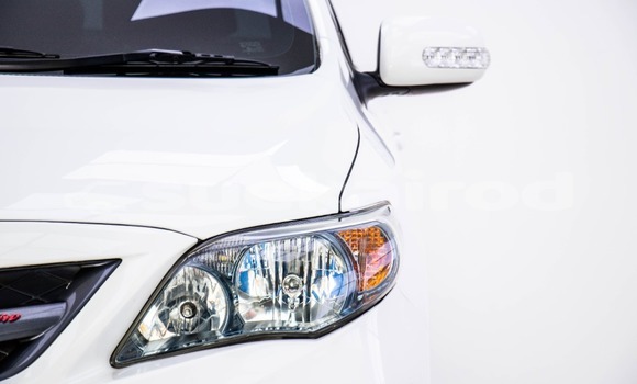 ซื้อ รถมือสอง Toyota Altis ขาว รถยนต์ ใน %{เมือง} ใน กรุงเทพมหานคร ซื้อ รถมือสอง Toyota Altis ขาว รถยนต์ ใน %{เมือง} ใน กรุงเทพมหานคร