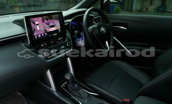 Buy Used Toyota Corolla Cross Other Car in Bangkok in Bangkok Buy Used Toyota Corolla Cross Other Car in Bangkok in Bangkok