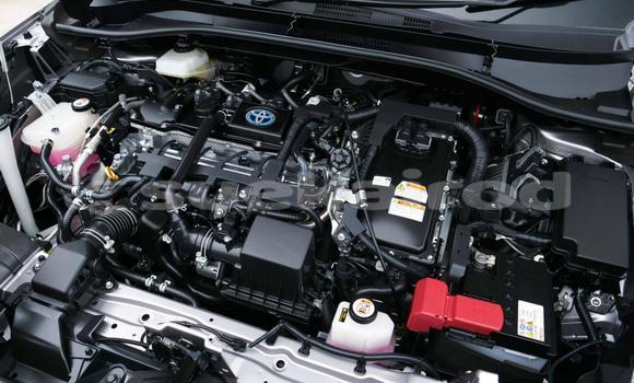 Buy Used Toyota Corolla Cross Other Car in Bangkok in Bangkok Buy Used Toyota Corolla Cross Other Car in Bangkok in Bangkok