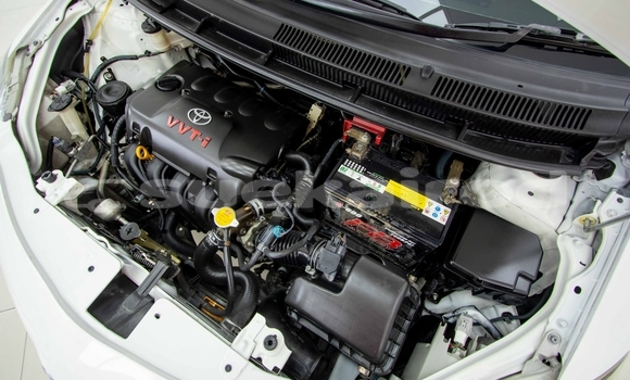 Buy Used Toyota Vios White Car in Samut Sakhon in Samut Sakhon Buy Used Toyota Vios White Car in Samut Sakhon in Samut Sakhon