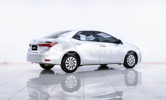 ซื้อ รถมือสอง Toyota Altis อื่น ๆ รถยนต์ ใน %{เมือง} ใน นนทบุรี ซื้อ รถมือสอง Toyota Altis อื่น ๆ รถยนต์ ใน %{เมือง} ใน นนทบุรี