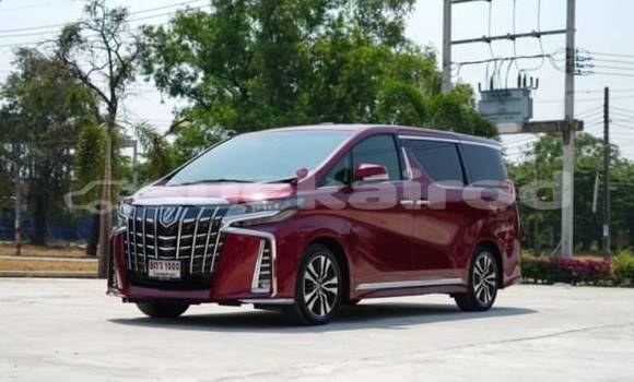 Buy Used Toyota Alphard Other Car in Bangkok in Bangkok Buy Used Toyota Alphard Other Car in Bangkok in Bangkok