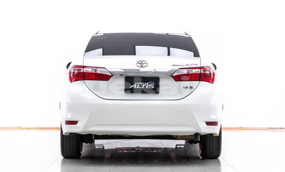 ซื้อ รถมือสอง Toyota Altis ขาว รถยนต์ ใน %{เมือง} ใน กรุงเทพมหานคร ซื้อ รถมือสอง Toyota Altis ขาว รถยนต์ ใน %{เมือง} ใน กรุงเทพมหานคร