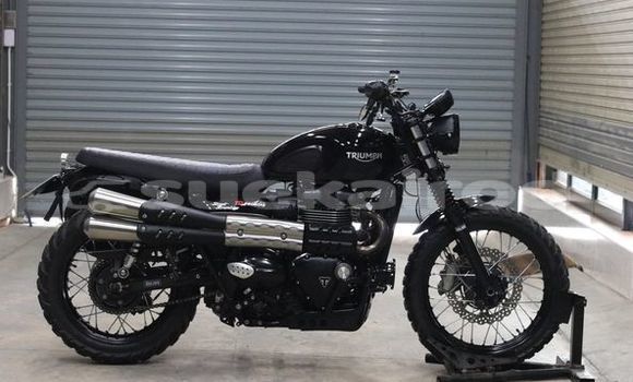 Buy Used Triumph Street Triple Black Bike in Bangkok in Bangkok