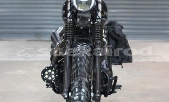 Buy Used Triumph Street Triple Black Bike in Bangkok in Bangkok Buy Used Triumph Street Triple Black Bike in Bangkok in Bangkok