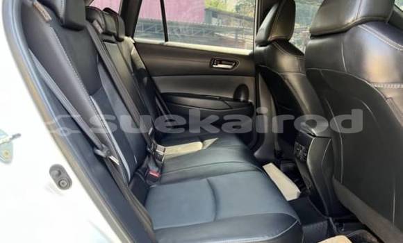 ซื้อ รถมือสอง Toyota Corolla Cross ขาว รถยนต์ ใน %{เมือง} ใน กรุงเทพมหานคร ซื้อ รถมือสอง Toyota Corolla Cross ขาว รถยนต์ ใน %{เมือง} ใน กรุงเทพมหานคร