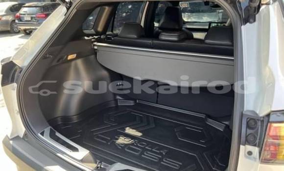 ซื้อ รถมือสอง Toyota Corolla Cross ขาว รถยนต์ ใน %{เมือง} ใน กรุงเทพมหานคร ซื้อ รถมือสอง Toyota Corolla Cross ขาว รถยนต์ ใน %{เมือง} ใน กรุงเทพมหานคร