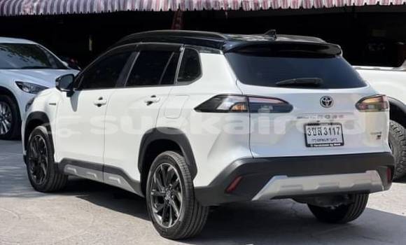 ซื้อ รถมือสอง Toyota Corolla Cross ขาว รถยนต์ ใน %{เมือง} ใน กรุงเทพมหานคร ซื้อ รถมือสอง Toyota Corolla Cross ขาว รถยนต์ ใน %{เมือง} ใน กรุงเทพมหานคร