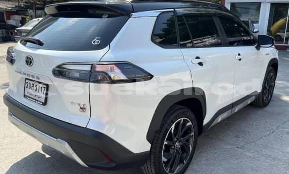 ซื้อ รถมือสอง Toyota Corolla Cross ขาว รถยนต์ ใน %{เมือง} ใน กรุงเทพมหานคร ซื้อ รถมือสอง Toyota Corolla Cross ขาว รถยนต์ ใน %{เมือง} ใน กรุงเทพมหานคร
