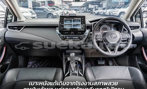 ซื้อ รถมือสอง Toyota Altis ขาว รถยนต์ ใน %{เมือง} ใน กรุงเทพมหานคร ซื้อ รถมือสอง Toyota Altis ขาว รถยนต์ ใน %{เมือง} ใน กรุงเทพมหานคร