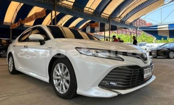 Buy Used Toyota Camry White Car in Bangkok in Bangkok Buy Used Toyota Camry White Car in Bangkok in Bangkok