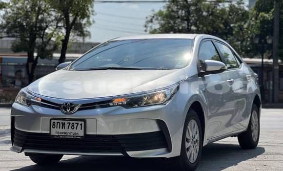 Buy Used Toyota Corolla Altis Other Car in Bangkok in Bangkok Buy Used Toyota Corolla Altis Other Car in Bangkok in Bangkok
