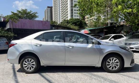 Buy Used Toyota Corolla Altis Other Car in Bangkok in Bangkok Buy Used Toyota Corolla Altis Other Car in Bangkok in Bangkok