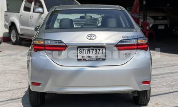 Buy Used Toyota Corolla Altis Other Car in Bangkok in Bangkok Buy Used Toyota Corolla Altis Other Car in Bangkok in Bangkok