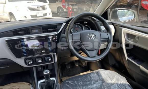 Buy Used Toyota Corolla Altis Other Car in Bangkok in Bangkok Buy Used Toyota Corolla Altis Other Car in Bangkok in Bangkok