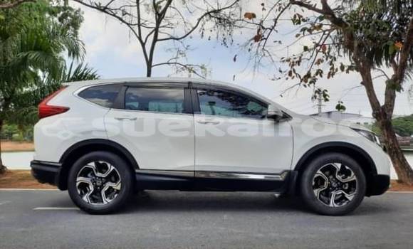 Buy Used Honda CR-V White Car in Bangkok in Bangkok Buy Used Honda CR-V White Car in Bangkok in Bangkok