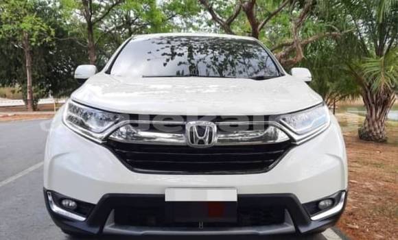 Buy Used Honda CR-V White Car in Bangkok in Bangkok Buy Used Honda CR-V White Car in Bangkok in Bangkok