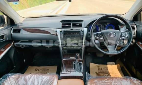 Buy Used Honda City Other Car in Bangkok in Bangkok Buy Used Honda City Other Car in Bangkok in Bangkok