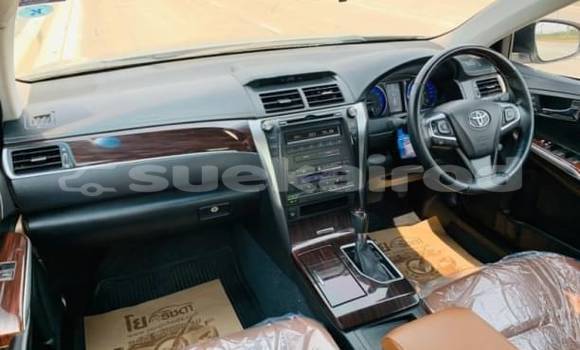 Buy Used Honda City Other Car in Bangkok in Bangkok Buy Used Honda City Other Car in Bangkok in Bangkok