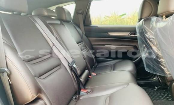 ซื้อ รถมือสอง Mazda CX-8 อื่น ๆ รถยนต์ ใน %{เมือง} ใน กรุงเทพมหานคร ซื้อ รถมือสอง Mazda CX-8 อื่น ๆ รถยนต์ ใน %{เมือง} ใน กรุงเทพมหานคร