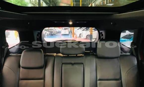 Buy Used Ford Everest Red Car in Bangkok in Bangkok Buy Used Ford Everest Red Car in Bangkok in Bangkok