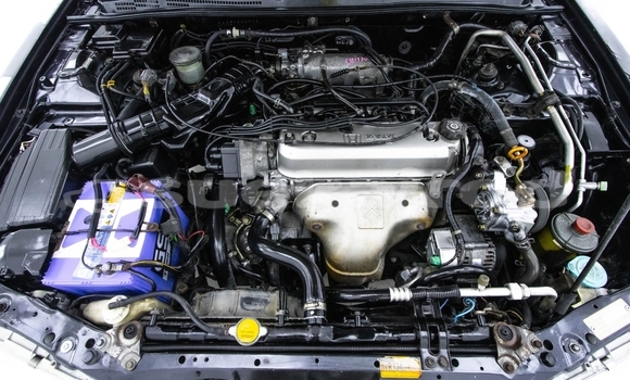 Buy Used Honda Accord Black Car in Bangkok in Bangkok Buy Used Honda Accord Black Car in Bangkok in Bangkok