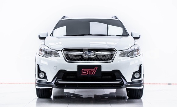 ซื้อ รถมือสอง Subaru XV ขาว รถยนต์ ใน %{เมือง} ใน กรุงเทพมหานคร ซื้อ รถมือสอง Subaru XV ขาว รถยนต์ ใน %{เมือง} ใน กรุงเทพมหานคร