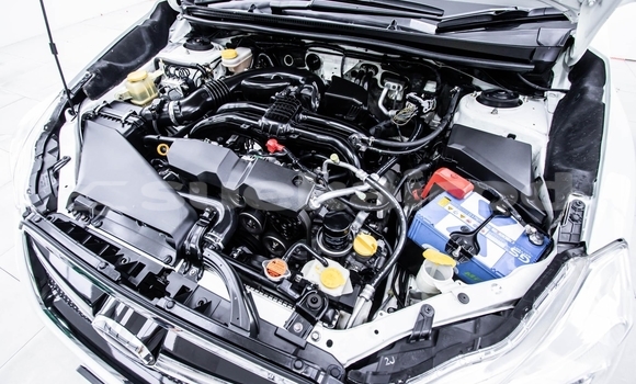 ซื้อ รถมือสอง Subaru XV ขาว รถยนต์ ใน %{เมือง} ใน กรุงเทพมหานคร ซื้อ รถมือสอง Subaru XV ขาว รถยนต์ ใน %{เมือง} ใน กรุงเทพมหานคร