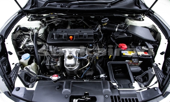 Buy Used Honda Accord White Car in Bangkok in Bangkok Buy Used Honda Accord White Car in Bangkok in Bangkok