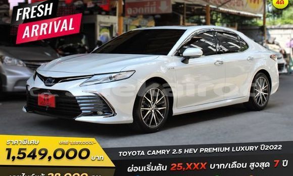 Buy Used Toyota Camry White Car in Bangkok in Bangkok