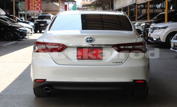 ซื้อ รถมือสอง Toyota Camry ขาว รถยนต์ ใน %{เมือง} ใน กรุงเทพมหานคร ซื้อ รถมือสอง Toyota Camry ขาว รถยนต์ ใน %{เมือง} ใน กรุงเทพมหานคร