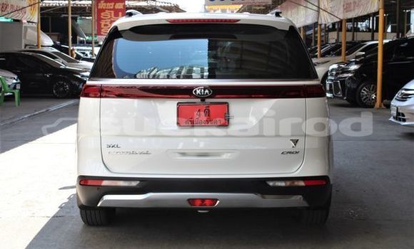 ซื้อ รถมือสอง Kia Carnival ขาว รถยนต์ ใน %{เมือง} ใน กรุงเทพมหานคร ซื้อ รถมือสอง Kia Carnival ขาว รถยนต์ ใน %{เมือง} ใน กรุงเทพมหานคร
