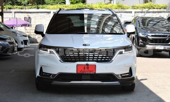 ซื้อ รถมือสอง Kia Carnival ขาว รถยนต์ ใน %{เมือง} ใน กรุงเทพมหานคร ซื้อ รถมือสอง Kia Carnival ขาว รถยนต์ ใน %{เมือง} ใน กรุงเทพมหานคร