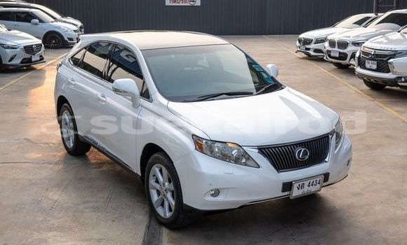 Buy Used Lexus RX White Car in Bangkok in Bangkok