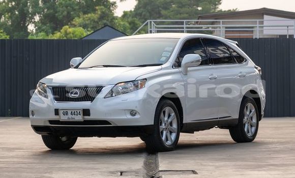 ซื้อ รถมือสอง Lexus RX ขาว รถยนต์ ใน %{เมือง} ใน กรุงเทพมหานคร ซื้อ รถมือสอง Lexus RX ขาว รถยนต์ ใน %{เมือง} ใน กรุงเทพมหานคร