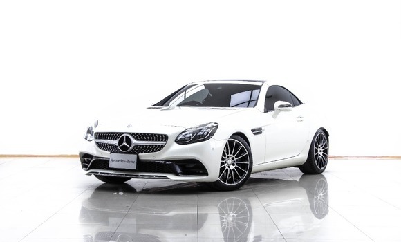 Buy Used Mercedes-Benz SLC-klasse AMG White Car in Bangkok in Bangkok
