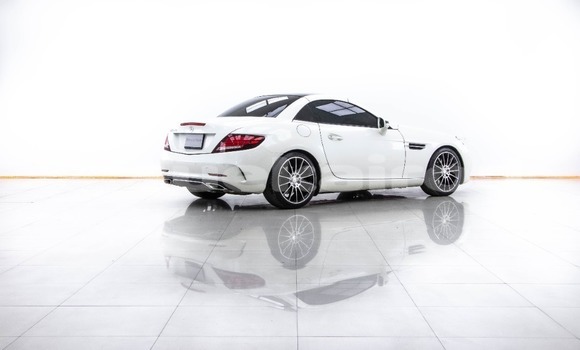 ซื้อ รถมือสอง Mercedes-Benz SLC-klasse AMG ขาว รถยนต์ ใน %{เมือง} ใน กรุงเทพมหานคร ซื้อ รถมือสอง Mercedes-Benz SLC-klasse AMG ขาว รถยนต์ ใน %{เมือง} ใน กรุงเทพมหานคร
