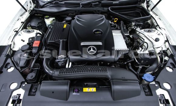 Buy Used Mercedes-Benz SLC-klasse AMG White Car in Bangkok in Bangkok Buy Used Mercedes-Benz SLC-klasse AMG White Car in Bangkok in Bangkok