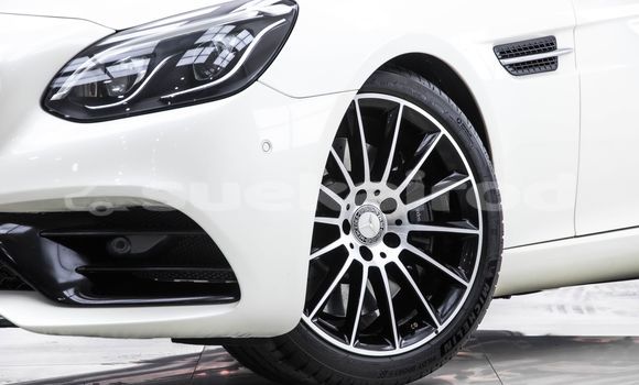 Buy Used Mercedes-Benz SLC-klasse AMG White Car in Bangkok in Bangkok Buy Used Mercedes-Benz SLC-klasse AMG White Car in Bangkok in Bangkok