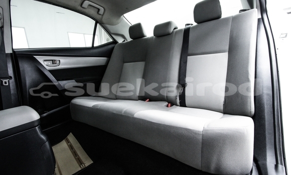 Buy Used Toyota Altis White Car in Bangkok in Bangkok Buy Used Toyota Altis White Car in Bangkok in Bangkok