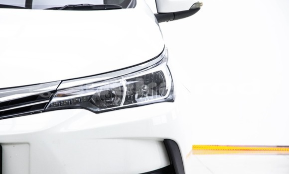 Buy Used Toyota Altis White Car in Bangkok in Bangkok Buy Used Toyota Altis White Car in Bangkok in Bangkok